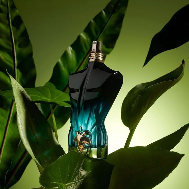 Jean Paul le beau+perfumero